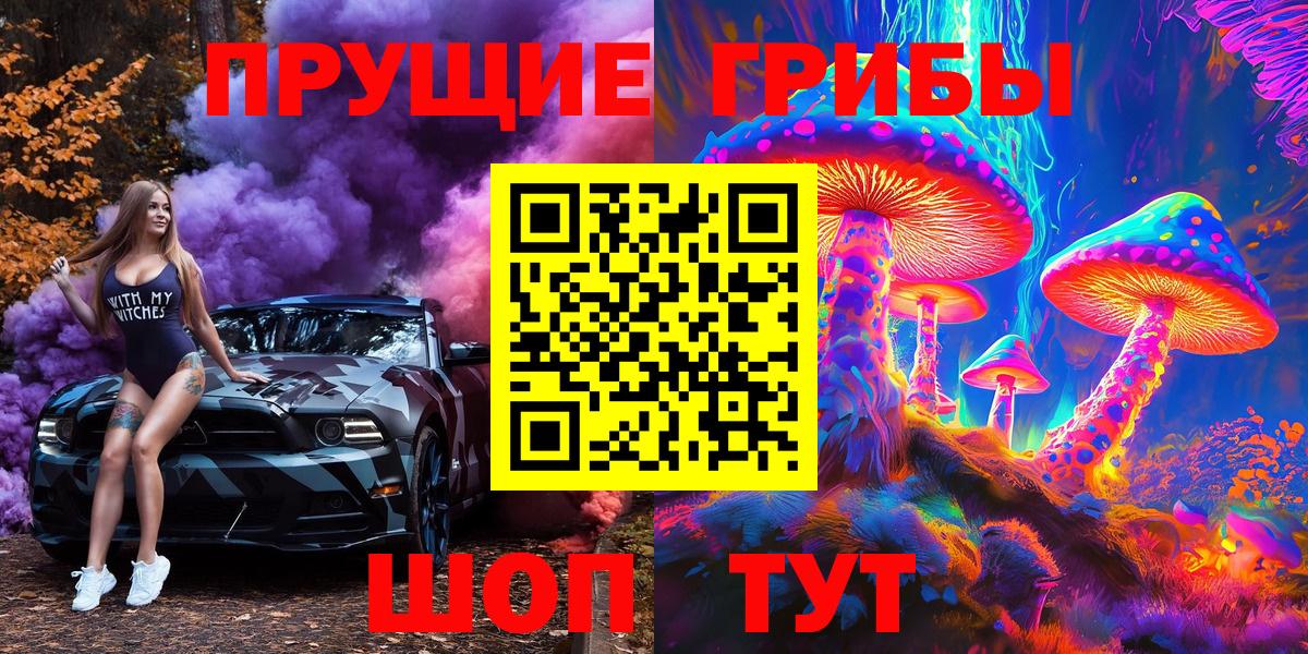 Богданович  Галлюциногенные грибы GOLDEN TEACHER  Вход с VPN 