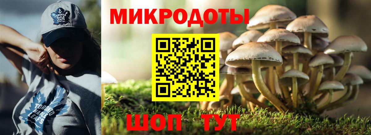 Галлюциногенные грибы ЛСД Богданович