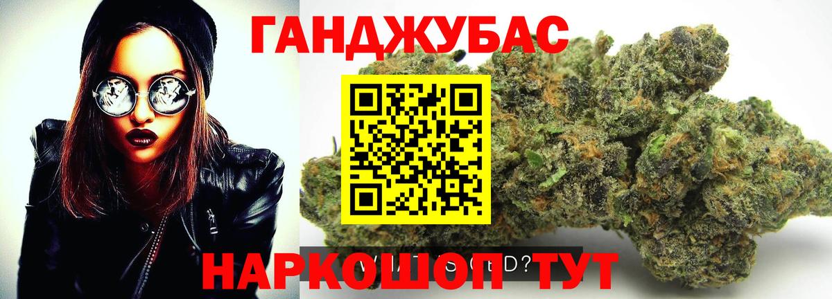 Каннабис планчик Богданович